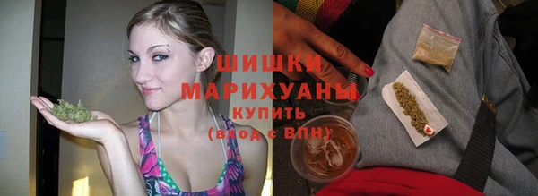 spice Богданович