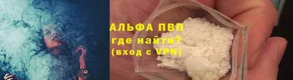spice Богданович