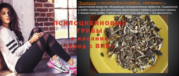 MDMA Premium VHQ Богородицк