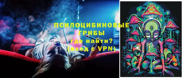 spice Богданович